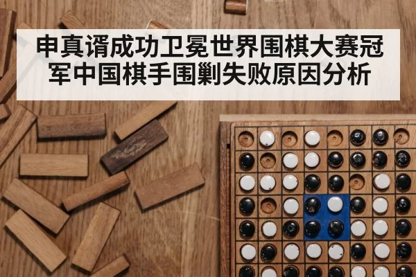 申真谞成功卫冕世界围棋大赛冠军中国棋手围剿失败原因分析