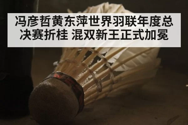 冯彦哲黄东萍世界羽联年度总决赛折桂 混双新王正式加冕