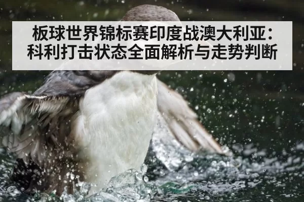 板球世界锦标赛印度战澳大利亚：科利打击状态全面解析与走势判断